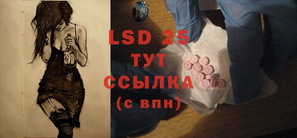 прущие грибы Верея