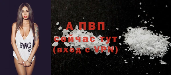 прущие грибы Верея