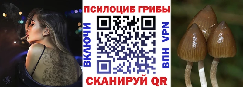 Псилоцибиновые грибы GOLDEN TEACHER  Дивногорск 